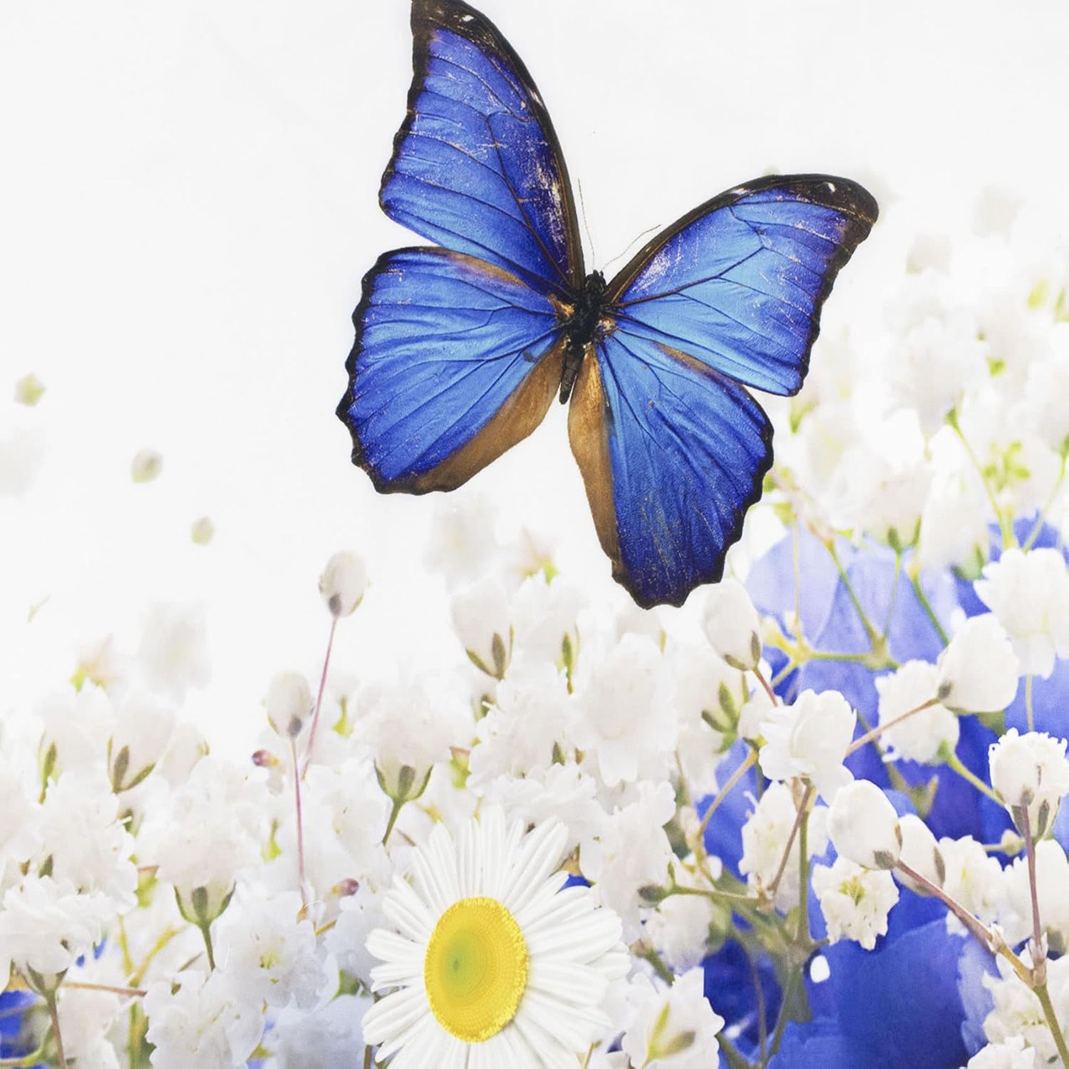EOBTAIN Flowers Birds Shower Curtain Set Hummingbird Shower Curtain Blue White Floral Butterfly Botanical Plant Modern Aesthetic Bathroom Rugs Polyester Waterproof 12 Hooks 72X72 Inches