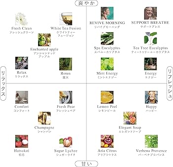 Amazon.co.jp: PROLITEC / AirQ160 Aroma Commercial Use (Fresh Pair