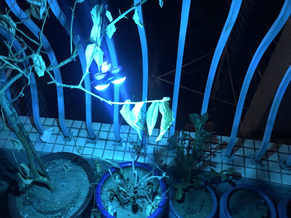 Meerkatt (Pack Of 4 3 Inch Smoked Lens Blue LED Oblong