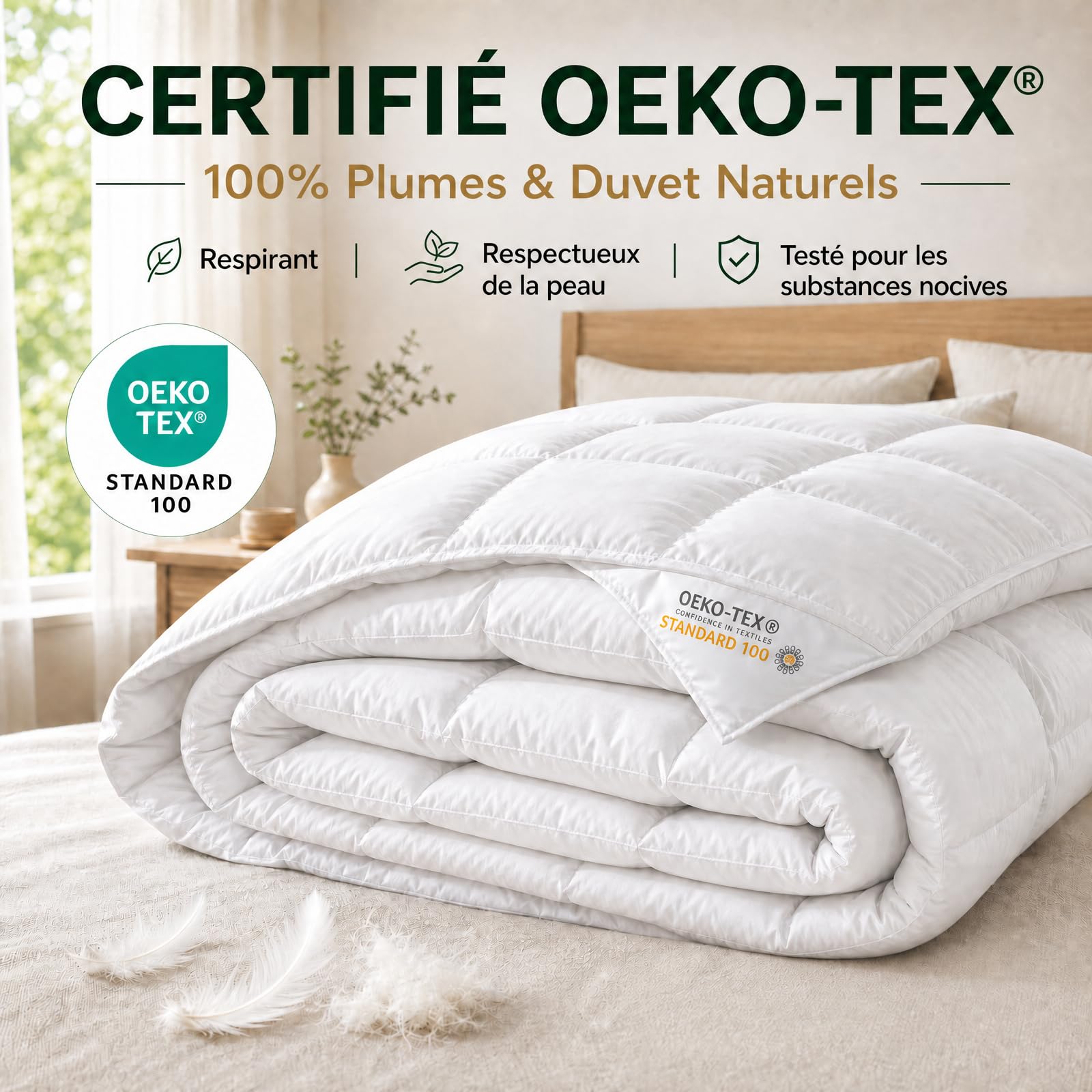 Couette 155x220 4 Saisons | pour lit 2 Personnes | Couette Plumes & Duvet d'oie | 100% Coton | Édredon Ultra Douce et Gonflant | Certifiée Oeko-Tex | Lavable en Machine,Blanc