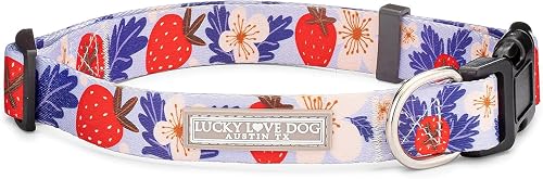 Lucky Love Dog - Collar ajustable para perro con hebilla de fácil clic para grandes, duradero y cómodo…