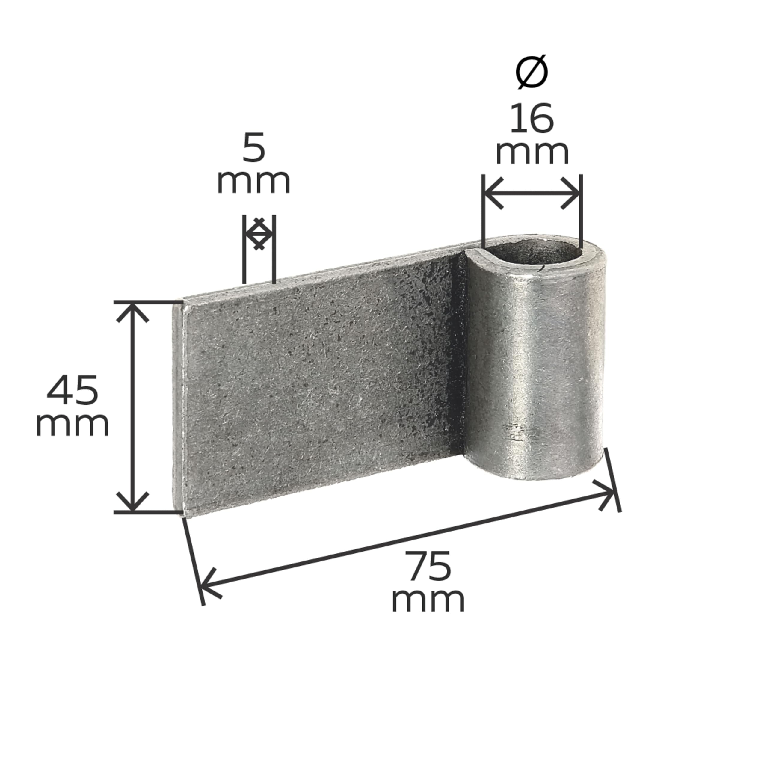 GAH-ALBERTS, 306755 Cardine Ad Avvitare, Acciaio, Dorn ø 16 Mm / 110 Mm - Foto 3