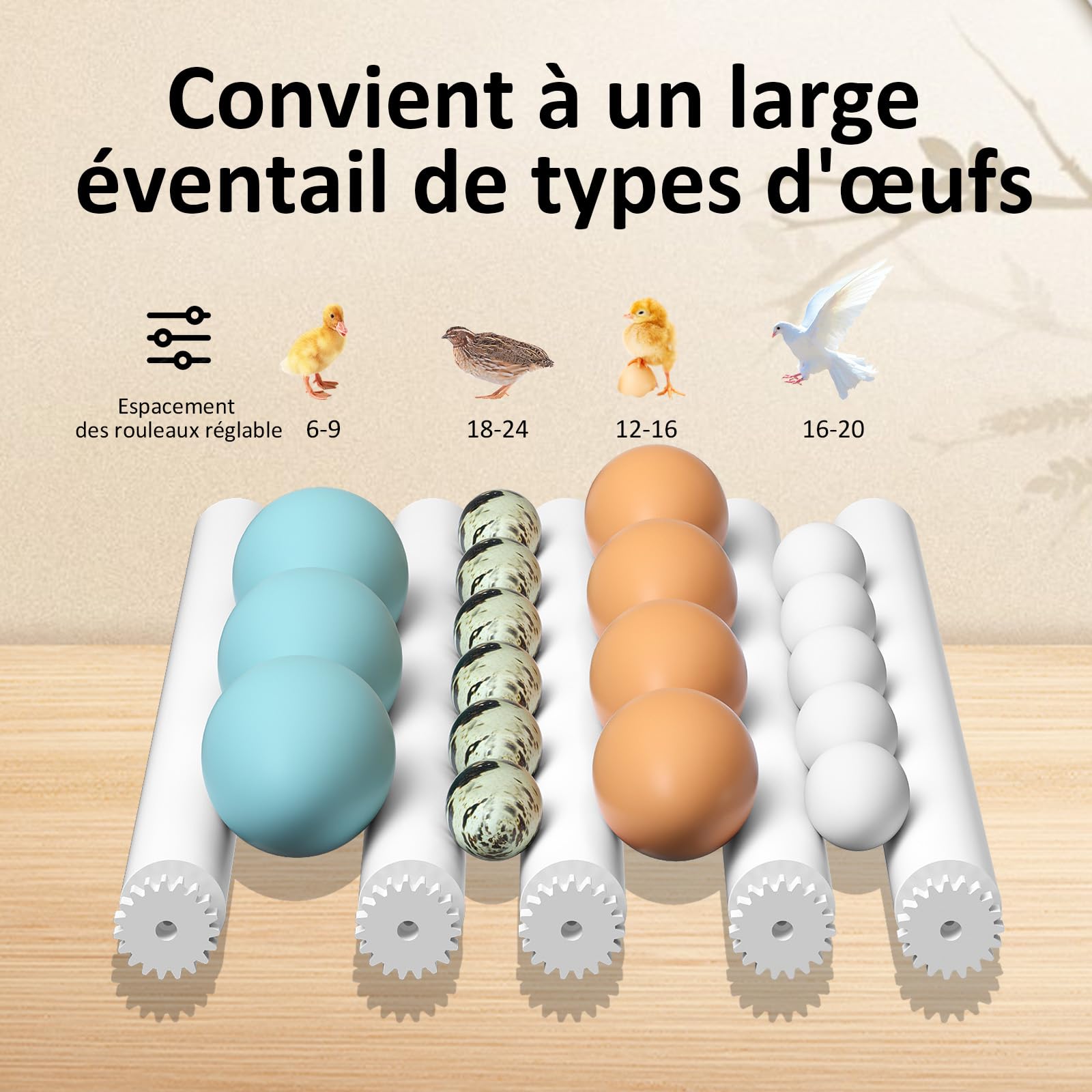 Couveuse Oeuf Automatique avec Contrôle de Température Retournement Automatique pour 16 Oeufs, Incubateur Oeuf rouleaux réglables et ajout automatique d'eau, Couveuse Mire Oeufs Intégré