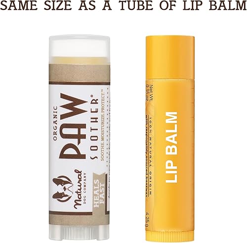 Miniatura 5 de Natural Dog Company Palo para chupete de patas natural orgánico curativo para mascotas chupete de piel de perro para patas secas agrietadas y