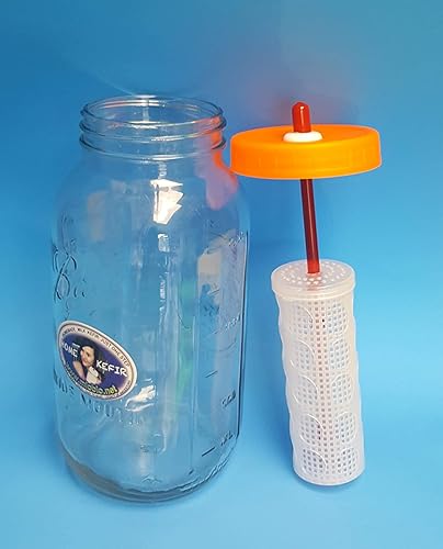 Miniatura 2 de Fermentador de kéfir 1.5L/50oz para kéfir casero rápido con DOBLE CANTIDAD DE GRANOS KEFIR para fermentación rápida
