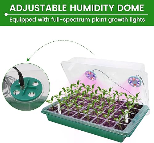 Miniatura 5 de Bandeja de inicio de semillas, 2 paquetes de bandejas de inicio de plántulas con luz de crecimiento, 4 LED, temporizador, regulable, kit de bandejas