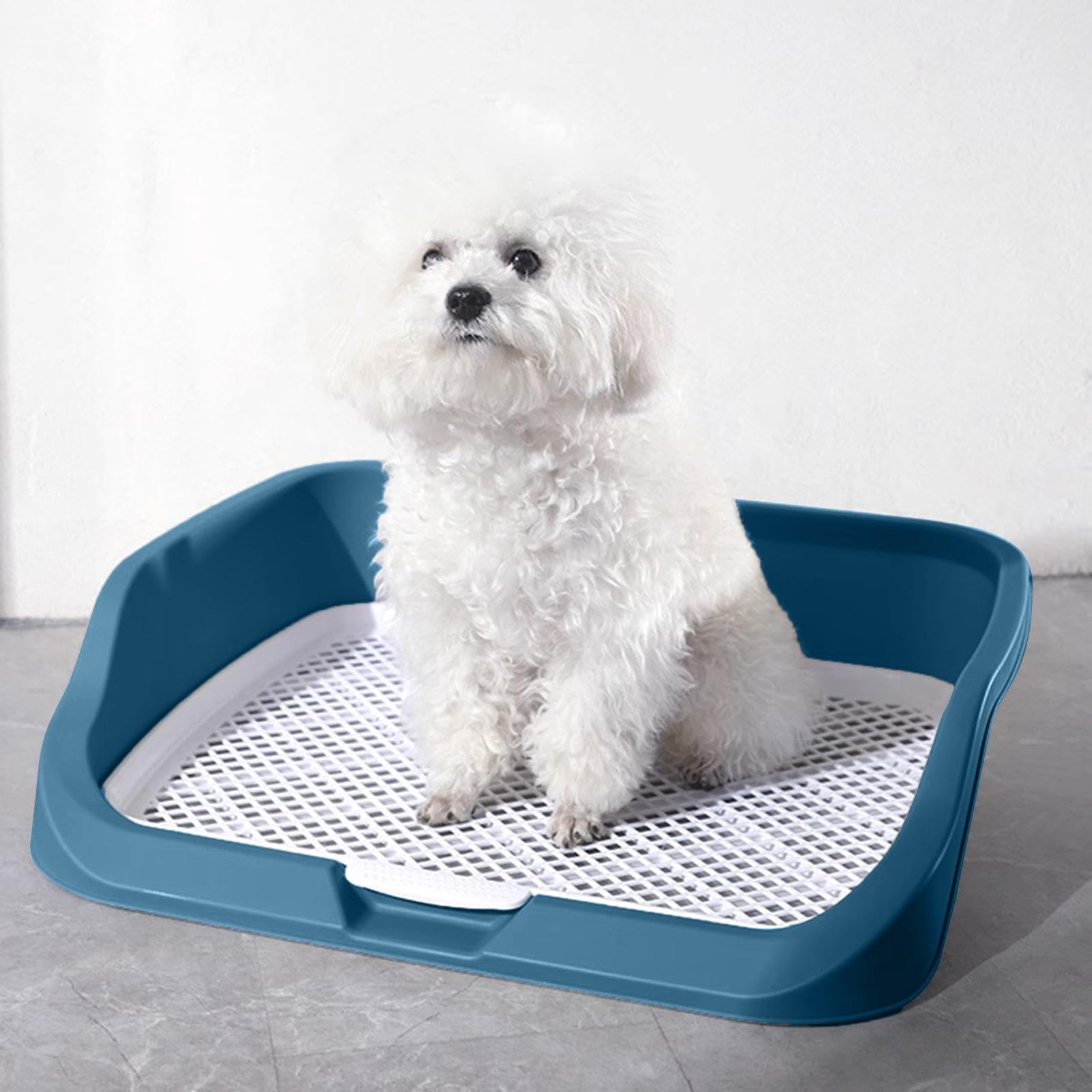 Hundetoiletten Katzentoilette, Töpfchentablett für Den Innenbereich, Spritzwassergeschützte Ecke für Haustier PIPI Toilettentrainer Im Innen Und, Blau