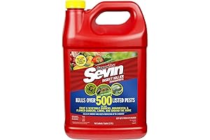 Concentrate Pest Control: Your Ultimate Defense Against Pests