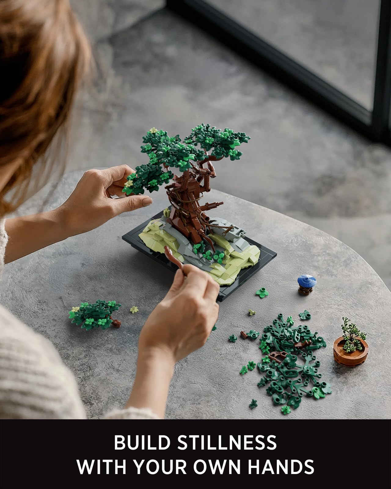 盆栽 FM.3110.51 盆栽 FM.3110.51 Amazon.com: Nifeliz CHAN Bonsai Tree Building Set