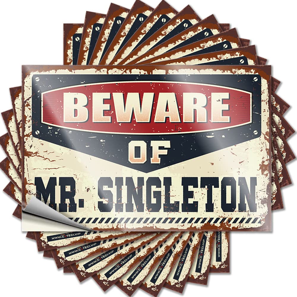 Punk Saying, Bar Stuff Window Beware of Mr. Singleton | Funny Quote Mom Decals(8X12CM)