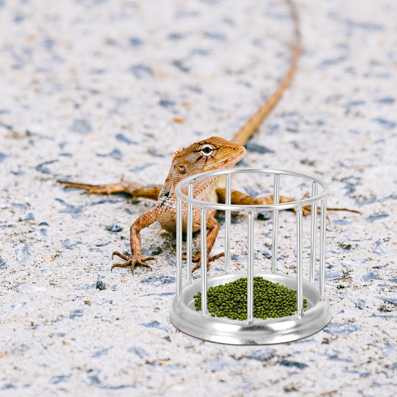 Kisangel 3piezas Comedero Inoxidable para Reptiles y Tortugas Alimentador Automático De Agua y Comida para Gansos y Aves Diseño y
