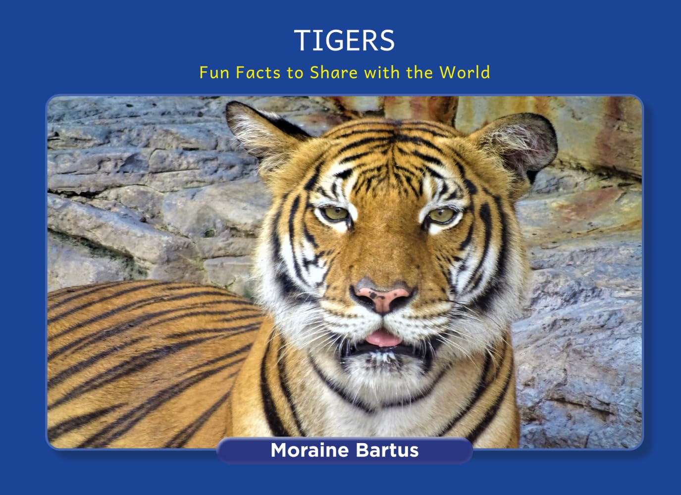 Tigers: Fun Facts to Share with the World