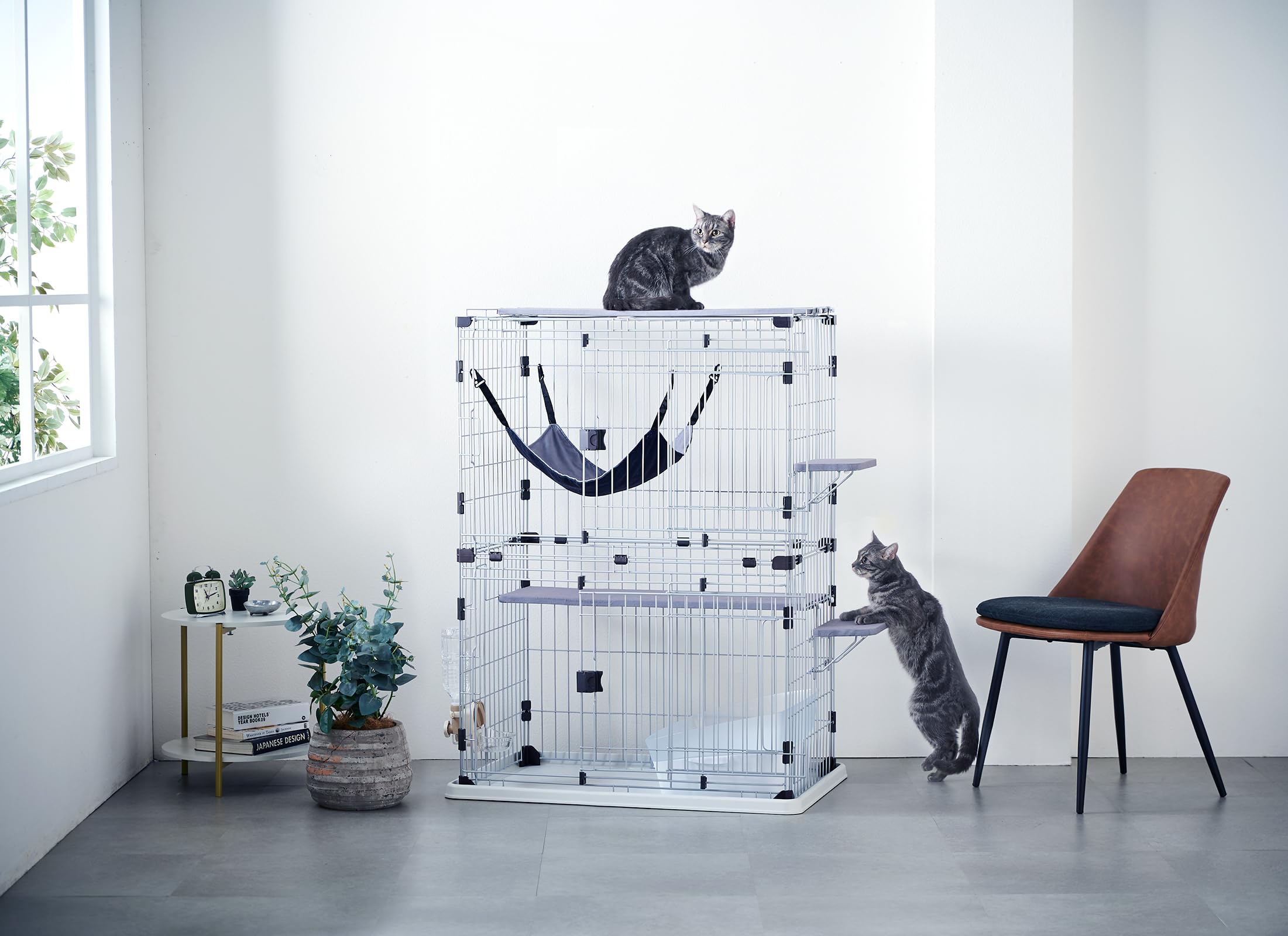 Amazon.co.jp: ボンビアルコン (Bonbi) サークルタワー プレイキャット