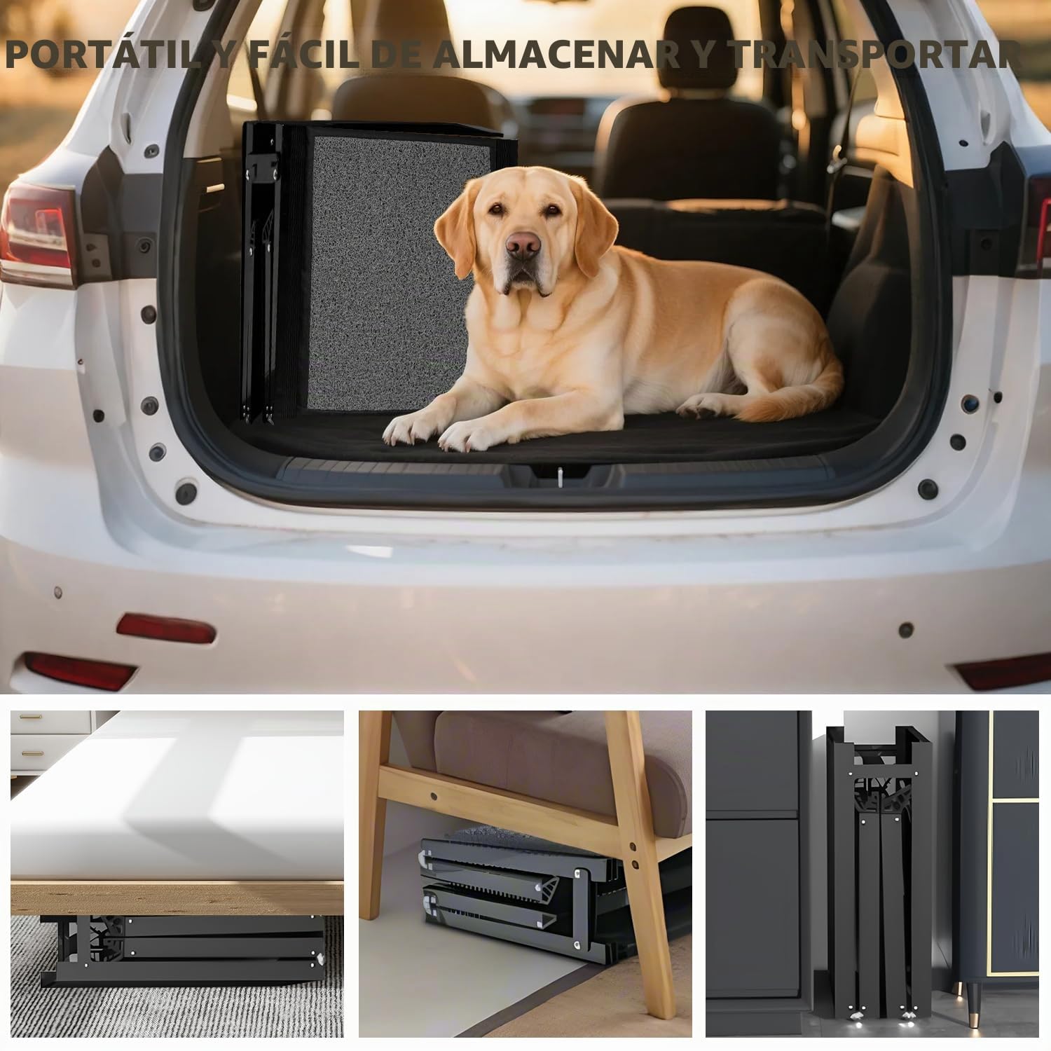 Rampa para Perros de Coche Plegable 170 x 50 cm Gris, con Superficie Alfombrada Antideslizante, hasta 70 kg, Aluminio Ligero para Mascotas, para Coches, Camiones, Todoterrenos y Escaleras Exteriores