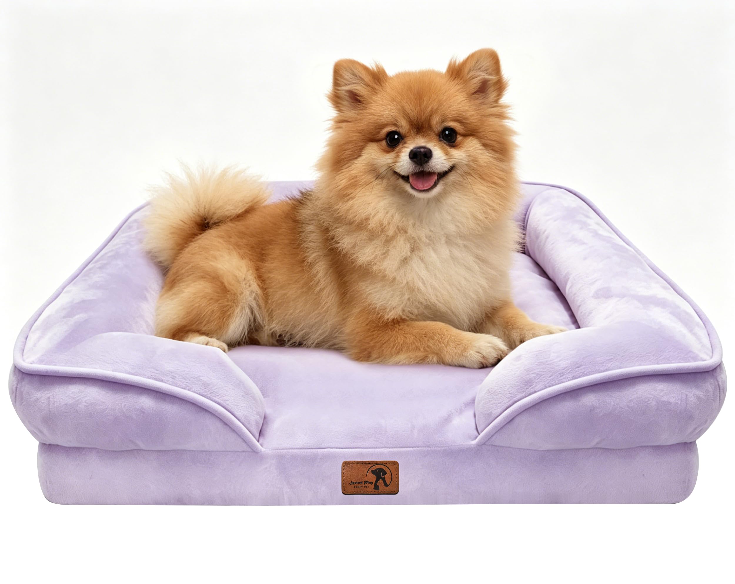 Purple / 24.0"L x 18.0"W x 6.0"Th