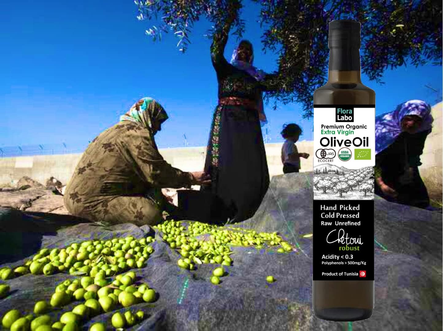 オーガニック エキストラバージンオリーブオイル 500mL CHETOUI ROBUST 【オリーブジャパン 金賞｜有機JAS｜高ポリフェノール｜コールドプレス製法】 High Polyphenol Organic Extra Virgin Olive Oil (1)