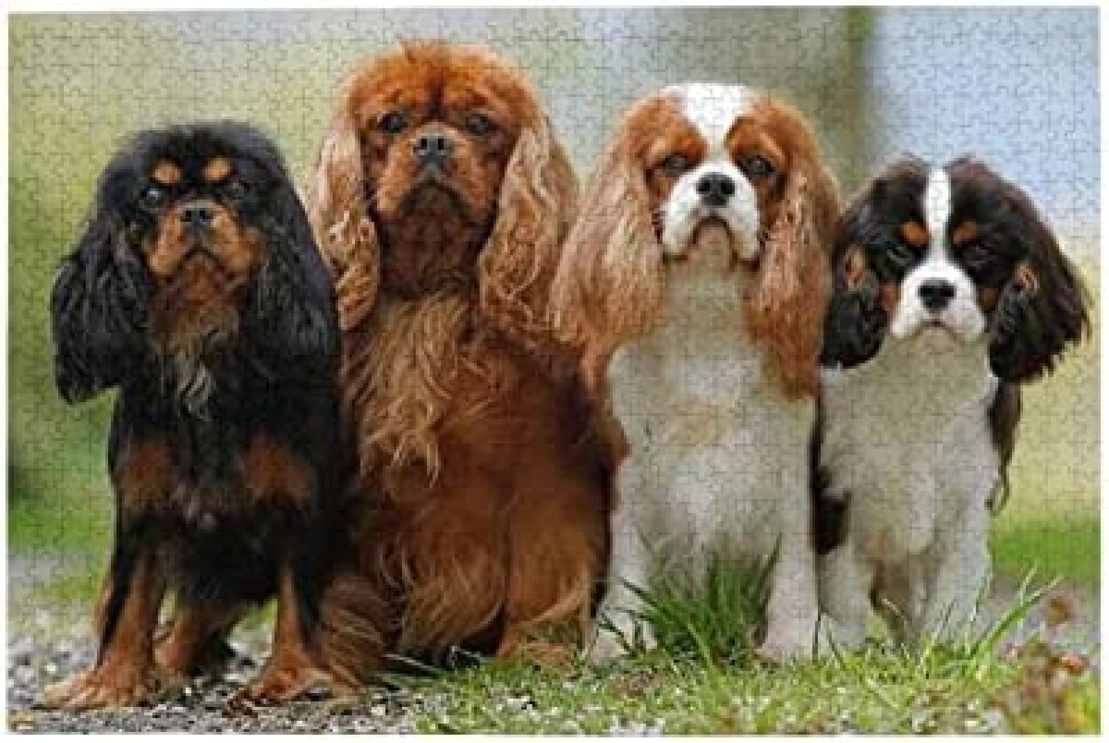 Papery Jigsaw Puzzles 2000 Pieces,Cavalier King Charles Spaniel Brain Challenge Puzzle Puzzle Game Papery Puzzle Sustainable Decorative For Teens Kids Children 70x100CM