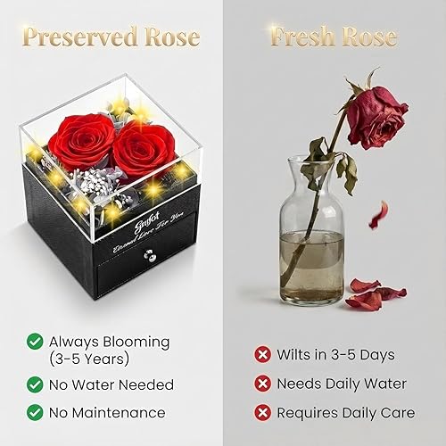 Miniatura 4 de 2 Rosas Preservadas Regalo para Mujeres - Rosa Eterna con Collar I Love You - Regalos Románticos de Cumpleaños para Novia Mamá Ella Esposa Abuela en