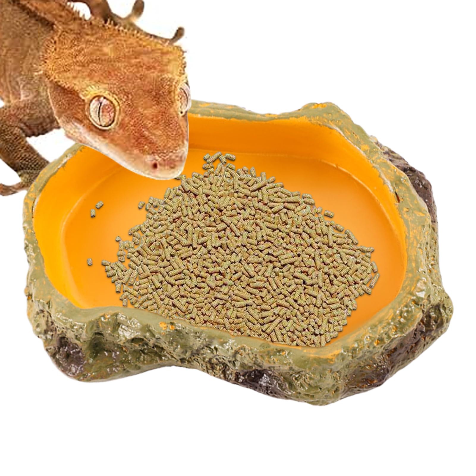 Rettili Mangiatoia Sicura Multifunzione Per Piccoli Animali | Vasca Reptile Ciotole, Vasca E Vassoio Per Drago Barbuto, , Tartaruga, Rana E Vasca Tartarughe