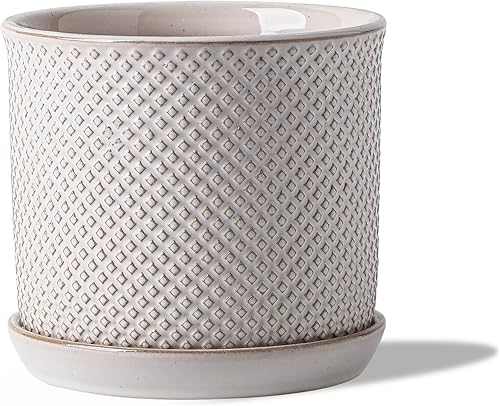 Vista 38 de Maceta de cerámica de 8 pulgadas: maceta de cerámica con orificio de drenaje y platillo para plantas de interior y exterior, maceta con bandeja