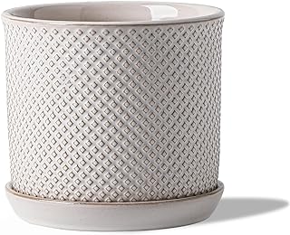 5.8 Inch Plant Pot: Ceramic Planter with Drainage Hole & Saucer for Indo...