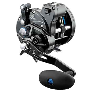 リール DAIWA - DAIWA CREST2004 &amp; T-GAME SEABASS MATTER リール DAIWA - DAIWA CREST2004 & T-GAME SEABASS MATTER