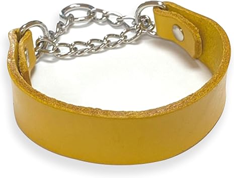 Amazon Pegs 犬 首輪 名入れ 小型犬 ハーフチョーク レザー 本革 シンプルデザイン イエロー 30cm 名前刻印 おしゃれ 革 かわいい しつけ 犬首輪 犬の首輪 皮 日本製 いぬ くびわ 犬用品 犬用 Pegs ベーシック首輪 通販 Amazon Pegs 犬 首輪 名入れ 小型犬 ハーフチョーク レザー 本革 シンプルデザイン イエロー 30cm 名前刻印 おしゃれ 革 かわいい しつけ 犬首輪 犬の首輪 皮 日本製 いぬ くびわ 犬用品 犬用 Pegs ベーシック首輪 通販