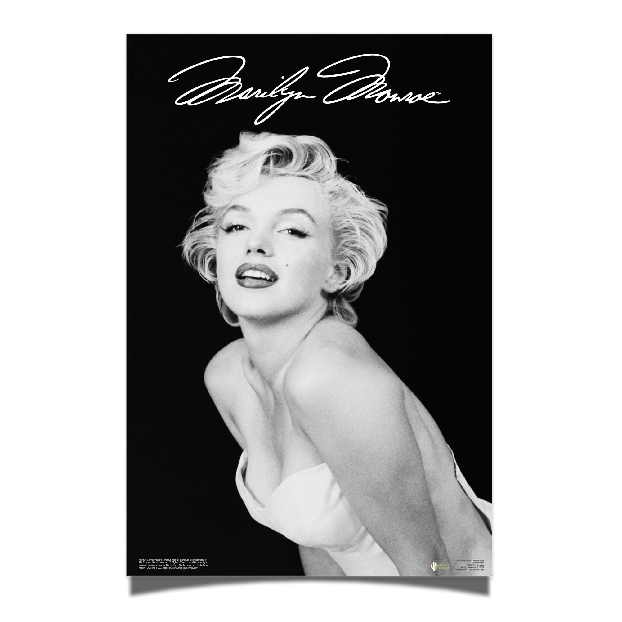 Amazon.com: Desert Cactus Marilyn Monroe Poster 24 x 36 inch Room