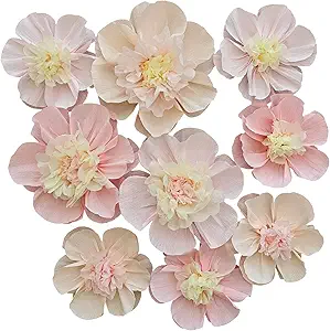 Crepe Paper Flower for Wall Psprt Pom Pom Decor Girls Birthday Party Backdrop Baby Shower Nursery Room Decoration Pack of 9 (Pink Blush Peach)