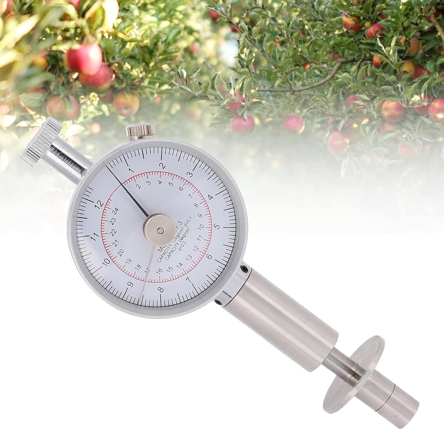 ☆坂本直行☆「むしゃりんどう」シルクスクリーン四ツ 未使用！ 坂本