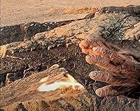 Vista 6 de Hemp Fire Starters Wind Proof, Water Proof, Eco-Friendly Camp Fire Starter Emergency Supplies Natural Fire Starter Rope Made from Hemp