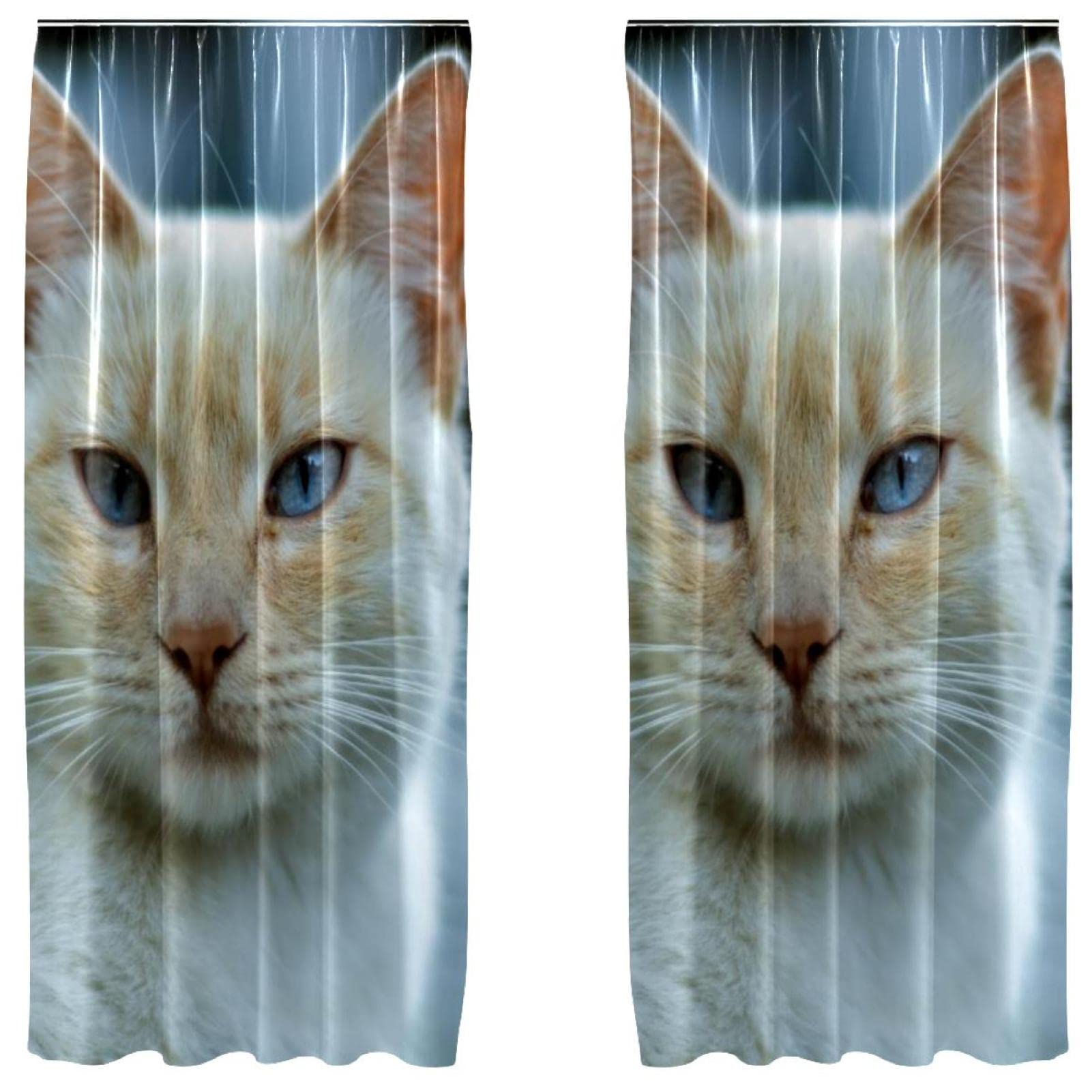 Rideaux occultants chat blanc douceur et nuits paisibles en chambre