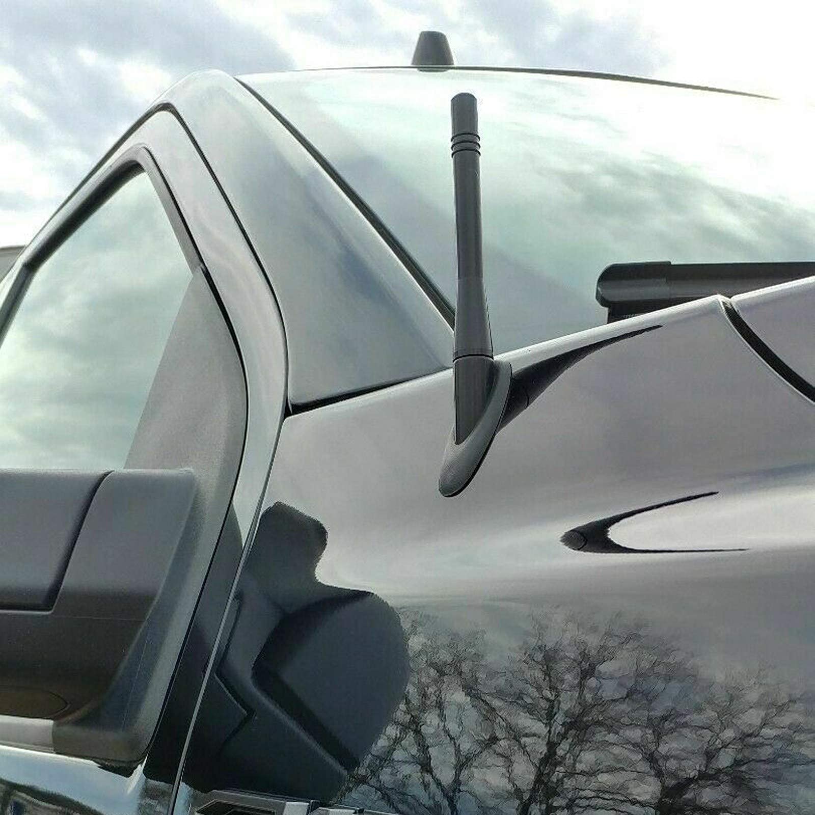 VIPIH Mast AM FM Radio Antenna Metal Detachable Fits for F-ord F-150 for R-aptor 2009-2020