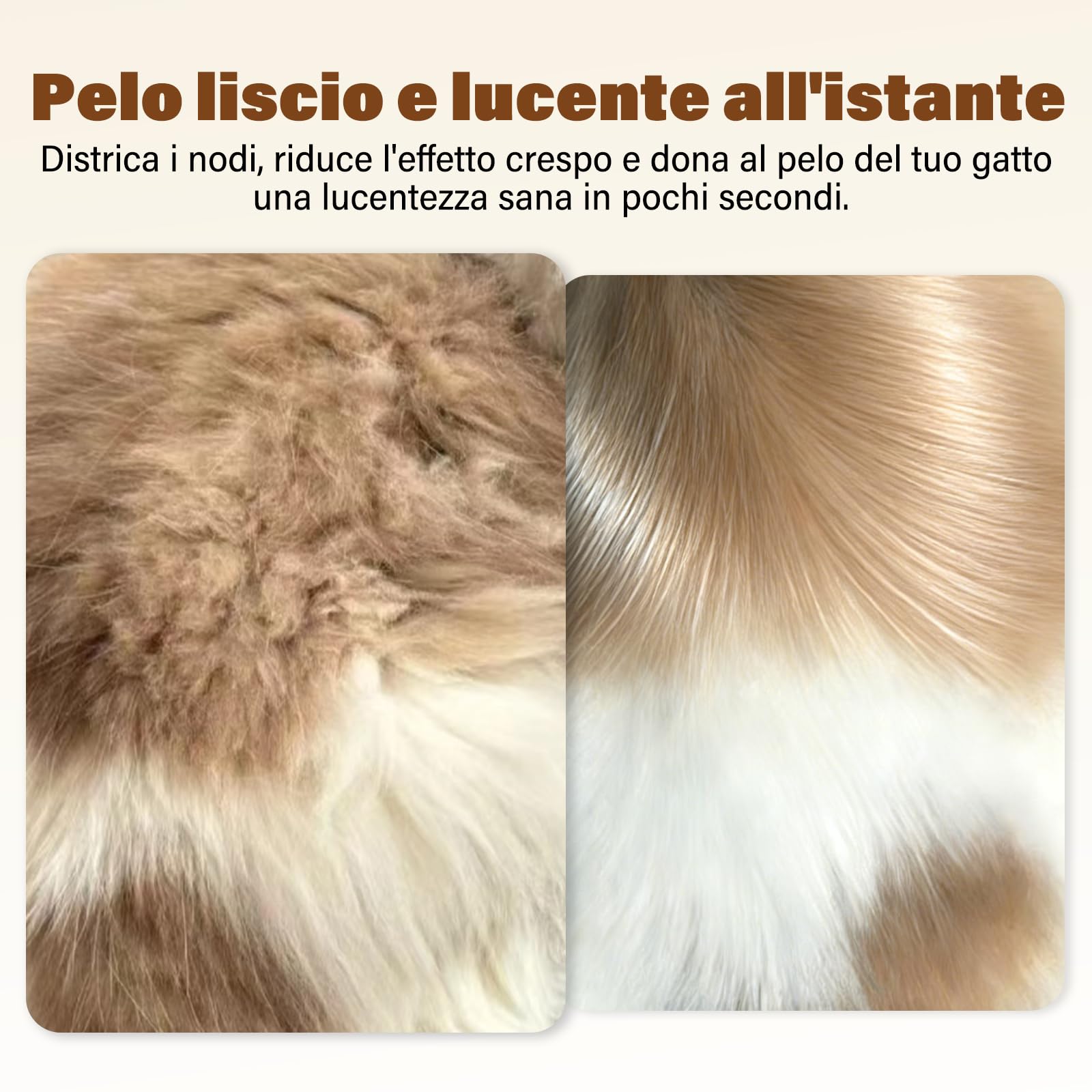 GJYC PET Shampoo secco gatto – 200 ml, profumo di cocco, pH neutro, pulisce e nutre delicatamente, districano e idrata – Adatto per pelli sensibili