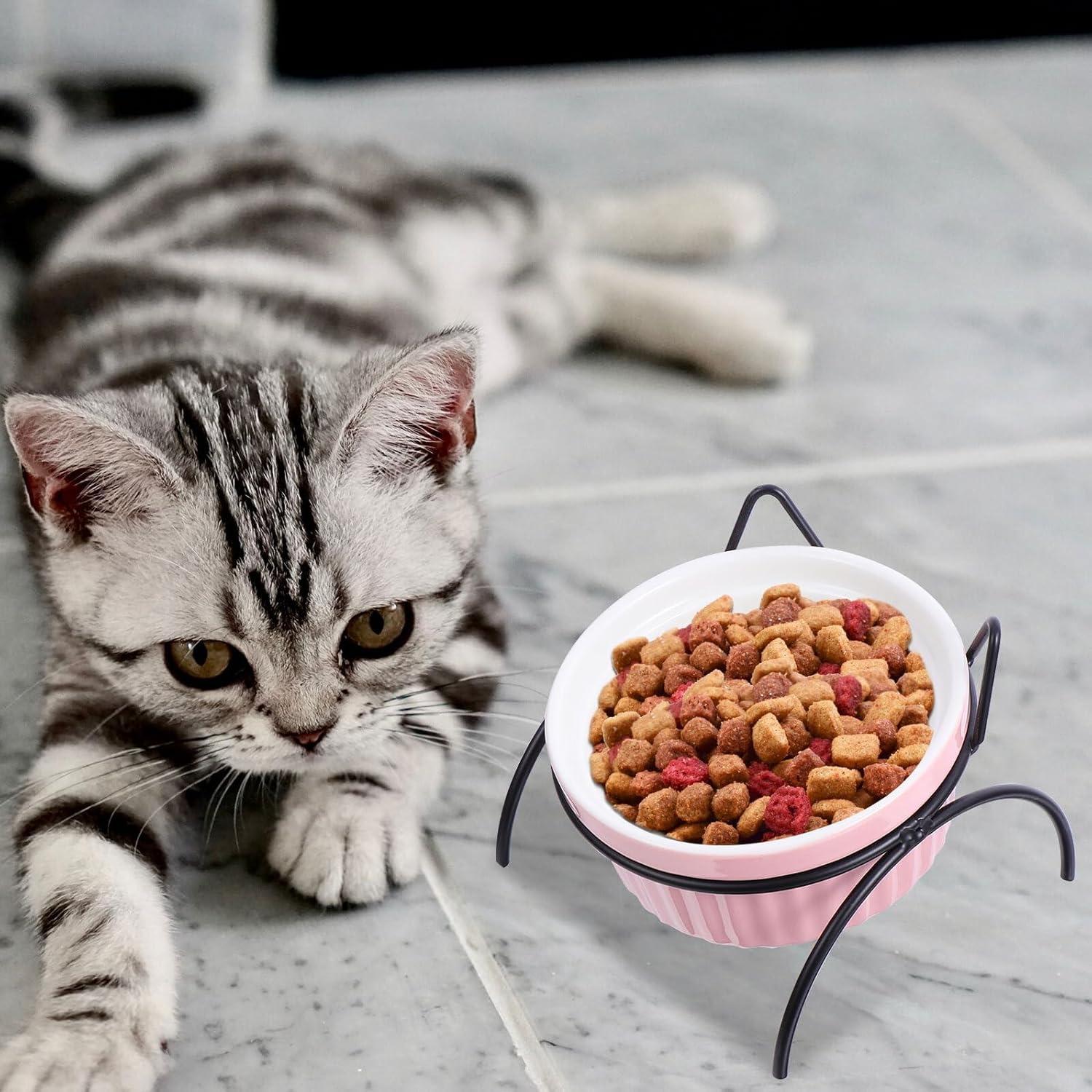 PRETYZOOM Ceramic Tilted Elevated Cat Food and Water Bowls with Metal Stand 4pcs Set Non-Spill Raised Feeding Bowls for Indoor Cats
