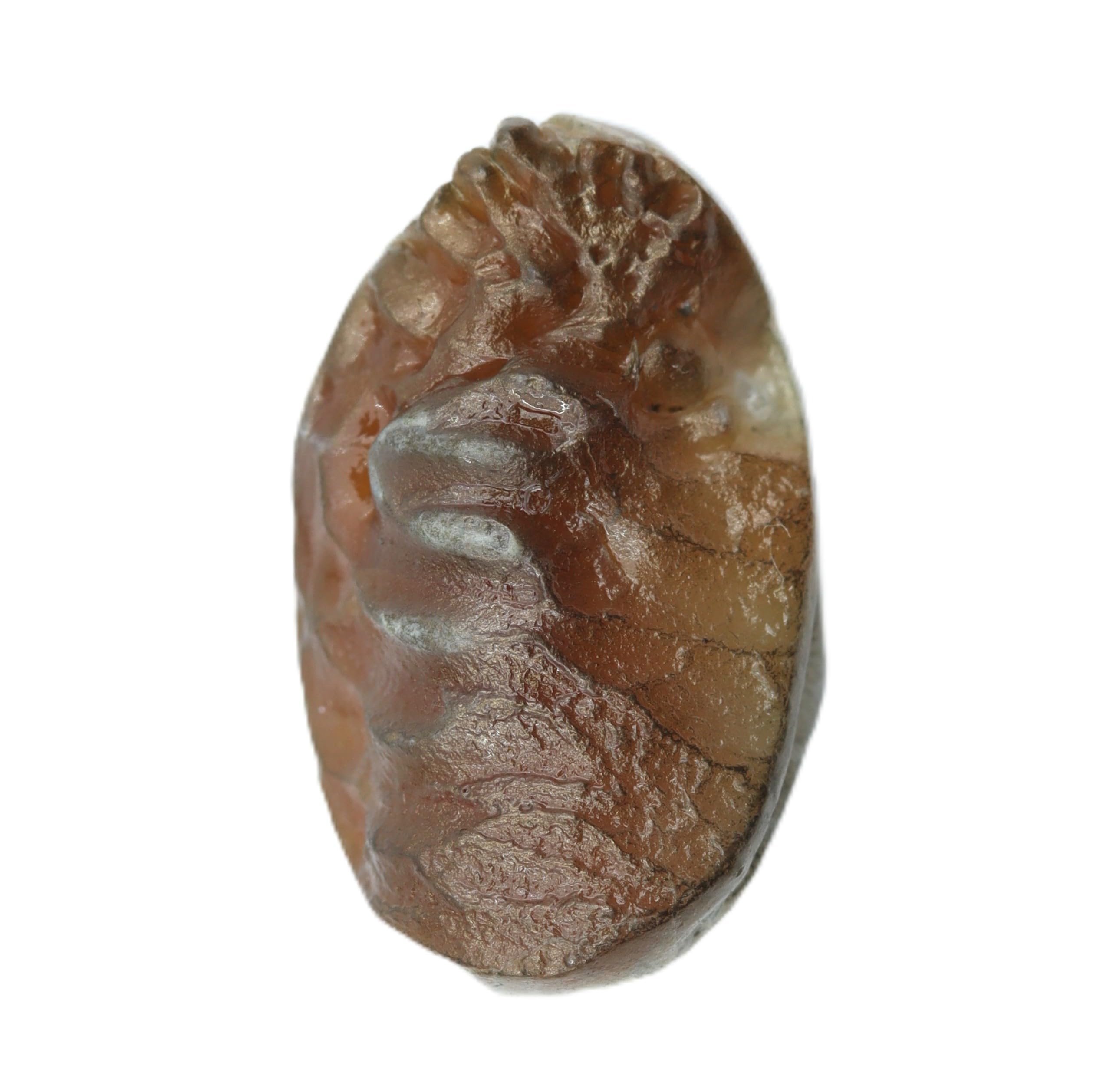 Shukra Mani Original Stone 100% Natural for Spiritual Use | Symbolic Planetary Stone for Harmony & Beauty| Real AAA Quality