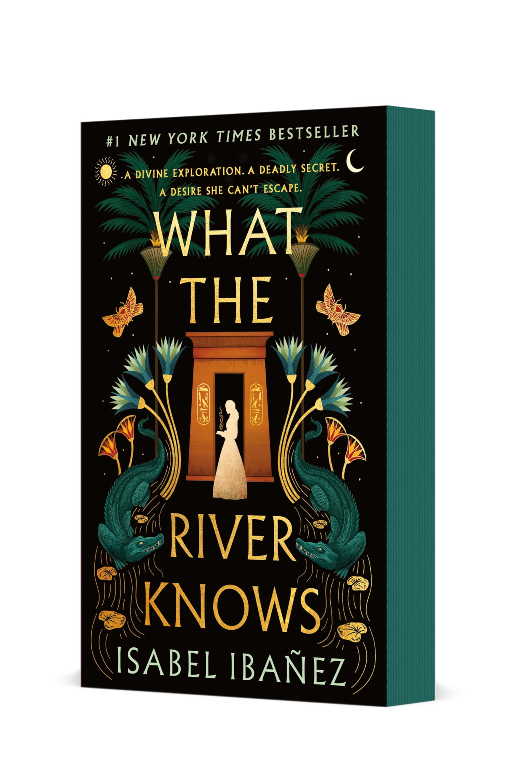 What the River Knows: A Novel