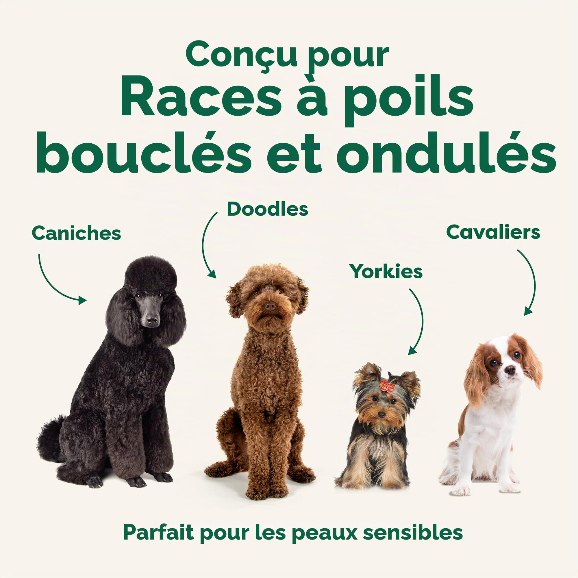 Earth Rated Shampoing et après-shampoing démêlant 3 en 1 pour chien - Shampoing désodorisant à l'avoine pour chiens et chiots - Idéal pour les animaux malodorants - Parfum thé blanc et basilic - 473