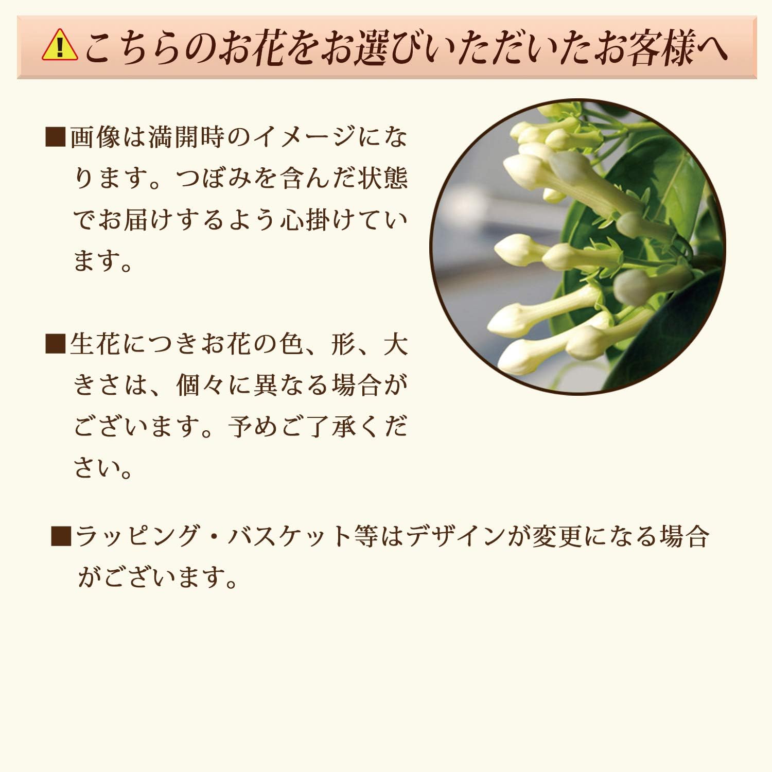 Amazon Co Jp 花のギフト社 母の日 マダガスカルジャスミン 花鉢 鉢花 鉢植え プレゼント 花 鉢 フラワーギフト Diy 工具 ガーデン