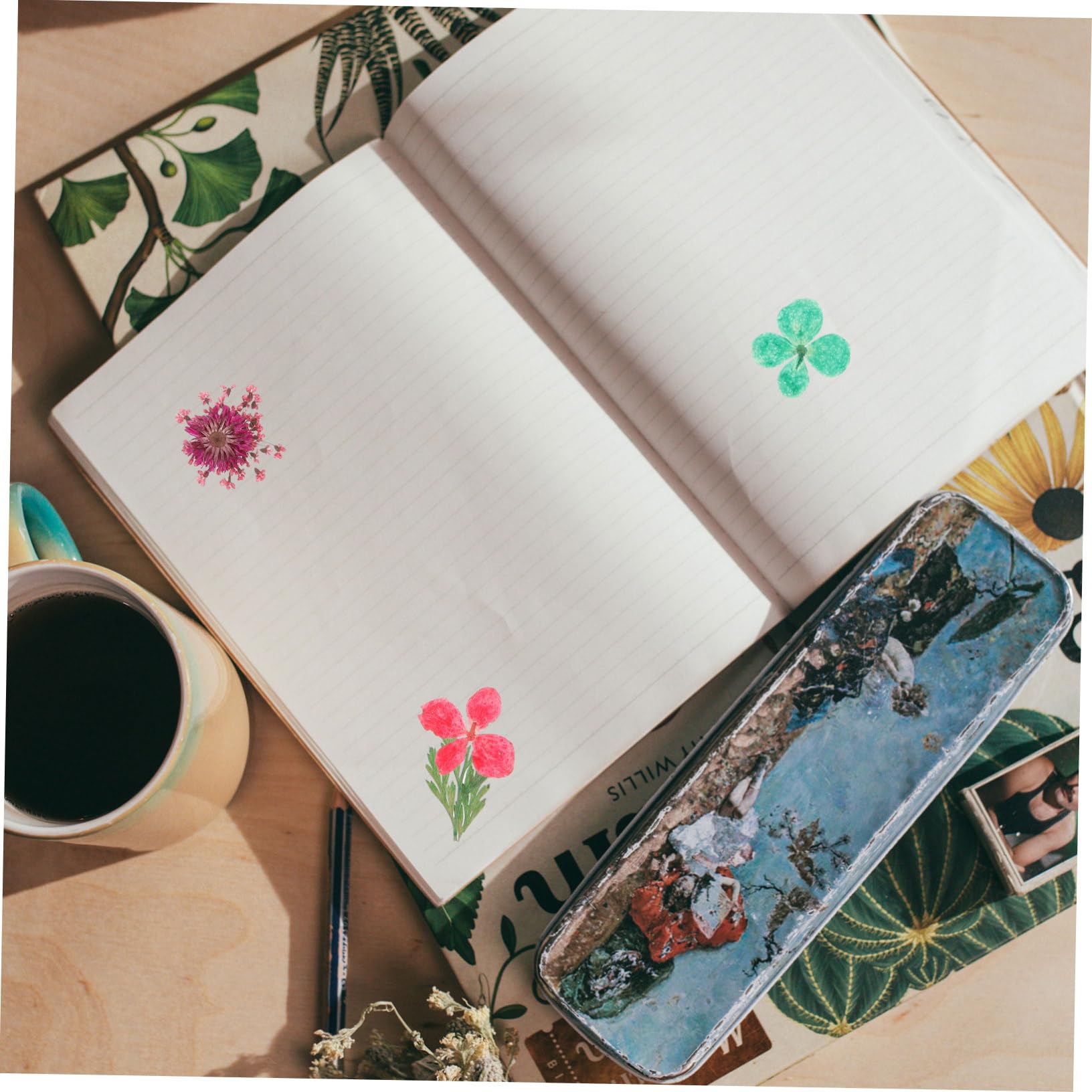 Amosfun Fleurs Séchées Naturelles pour Résine Époxy Kit De Boîtes pour Artisanat De Et Bougie Décoration Créative Parfum Naturel Et Éclat
