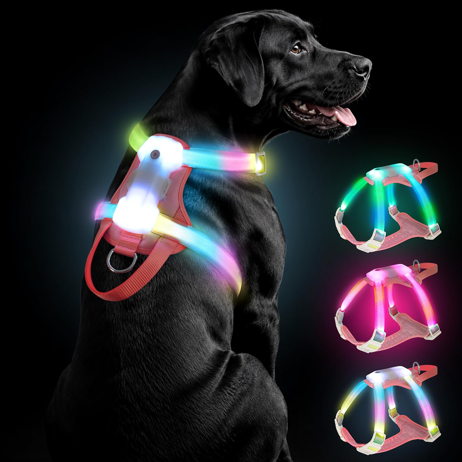 Light Up Dog Harness, Rechargeable LED Dog Harness for Small Medium Large Dogs,Glow in the Dark Dog Harness, Reflective Lighted Safety Vest for Night Walking &amp; Camping,Lightweight &amp; Adjustable