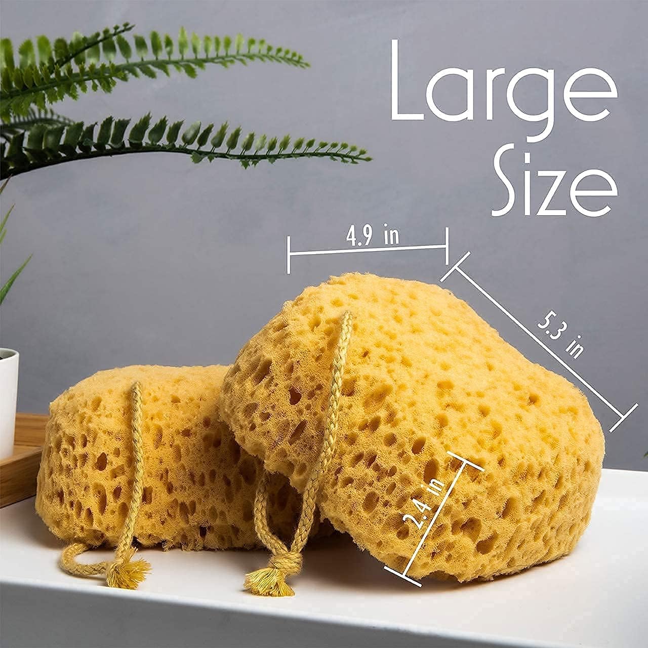 myHomeBody Premium Bath Sponge, Foam Loofah Sponge, Body Sponge for Shower - Large Size, Lots of Lather, 3 Pack: Health & Personal Care
