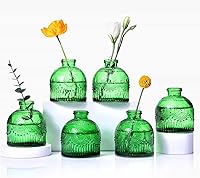 Aebor Glass Bud Vases Set of 6 - Small Green Flower Vases for Rustic Home Decor, Centerpieces, Weddings & Events