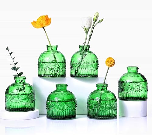 Juego de 6 jarrones de cristal, frascos de flores de vidrio, botellas pequeñas para arreglos florales, jarrones florales decorativos rústicos para