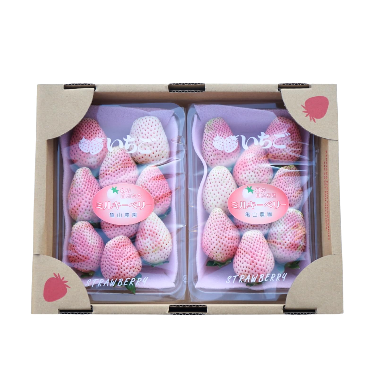 Amazon.co.jp: JA佐野 栃木県産 白いちご ミルキーベリー 約280g×2