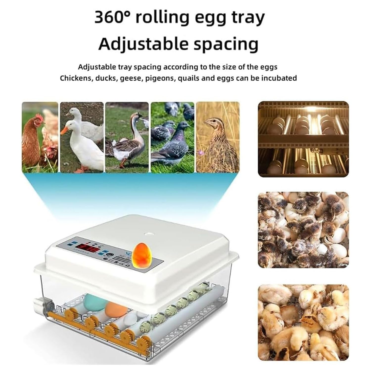 Incubadora digital de huevos con giro automático y pantalla LED para incubar aves de corral