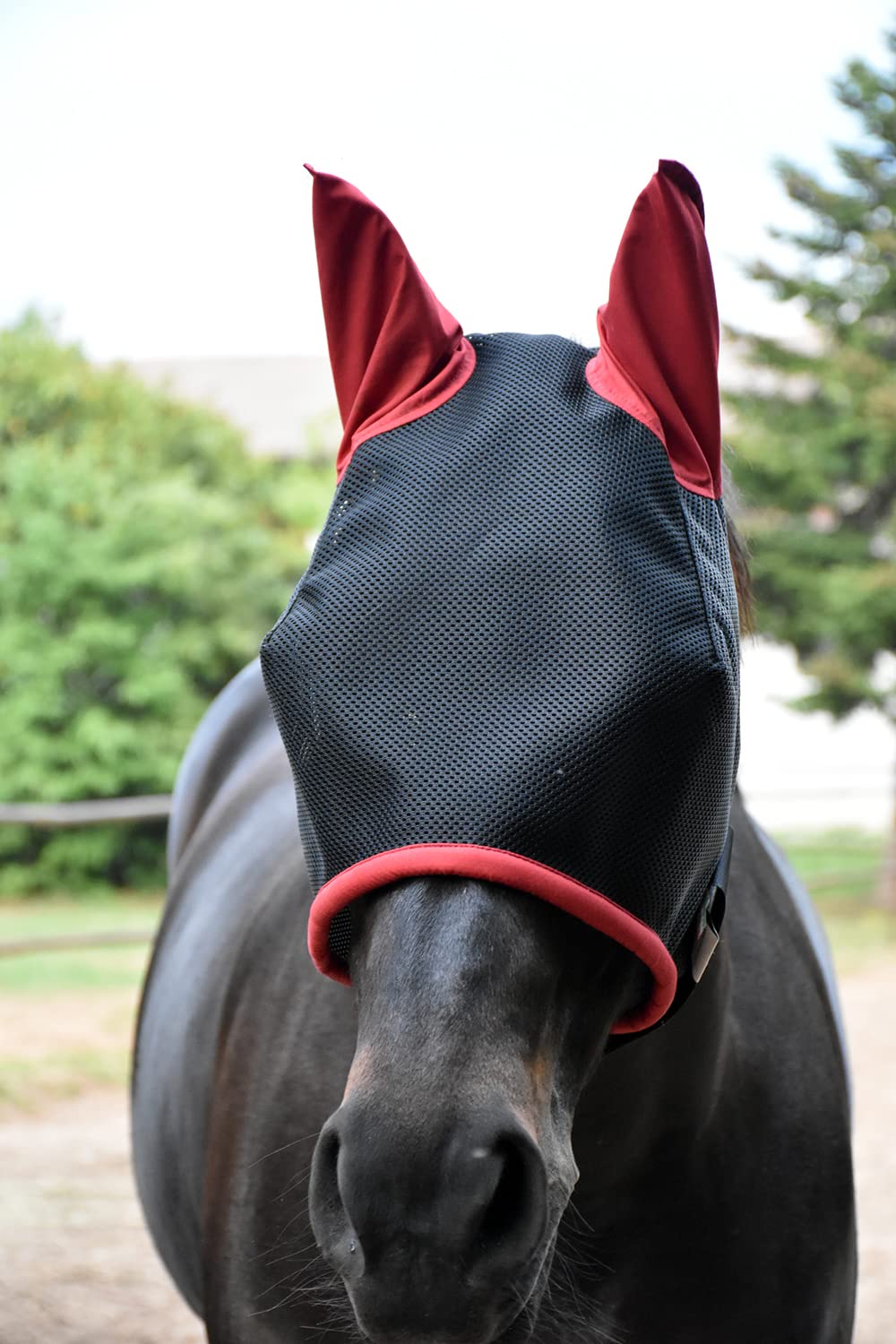 LOVEHORSES Robusta maschera per Insetti “FLYWING” - Rete certificata Standard 100 di Oeko-Tex - Protezione Perfetta dagli insetti per i cavalli in box ed in paddock. (XLARGE/XFULL, BORDEAUX)