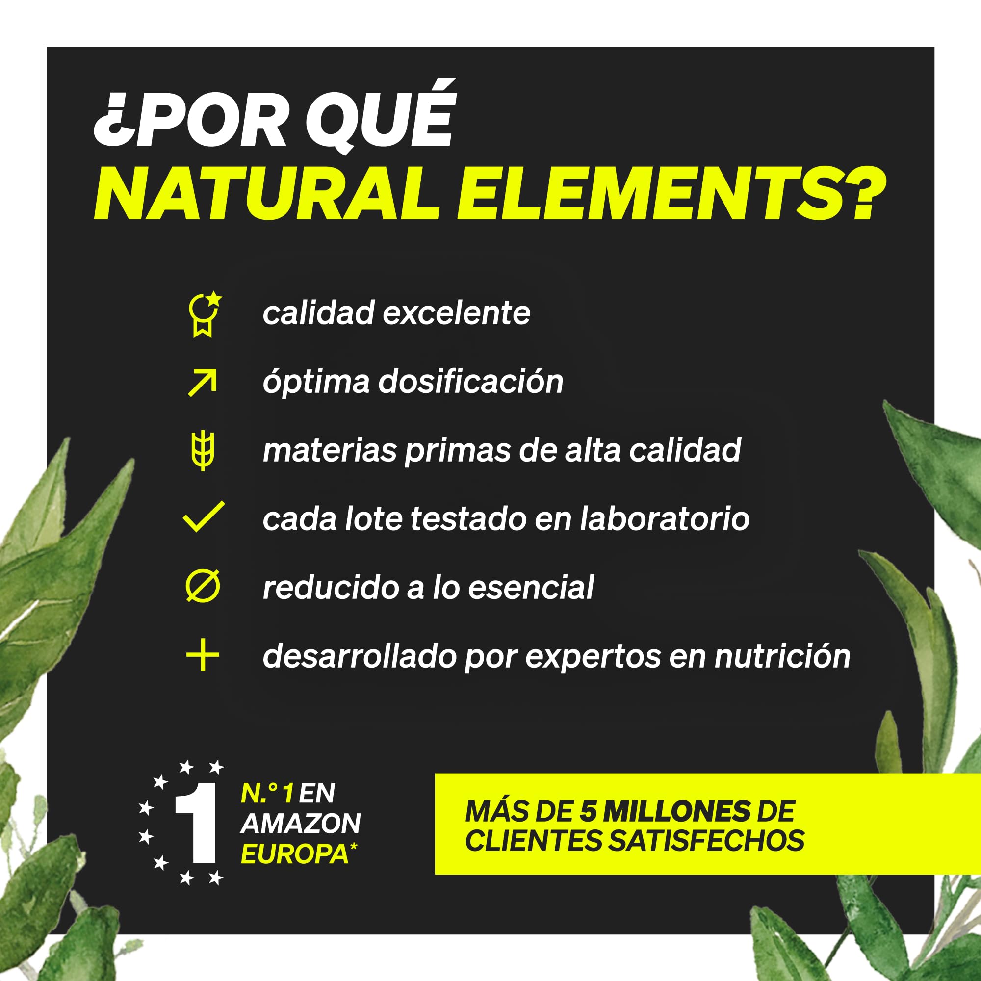 Whey Protein 1kg - Sabor Chocolate - 23 gr proteína por porción + 8 BCAA - Apoyo para el aumento y desarrollo muscular* - Proteína Whey sin Aromas ni edulcorante - Probado en laboratorio