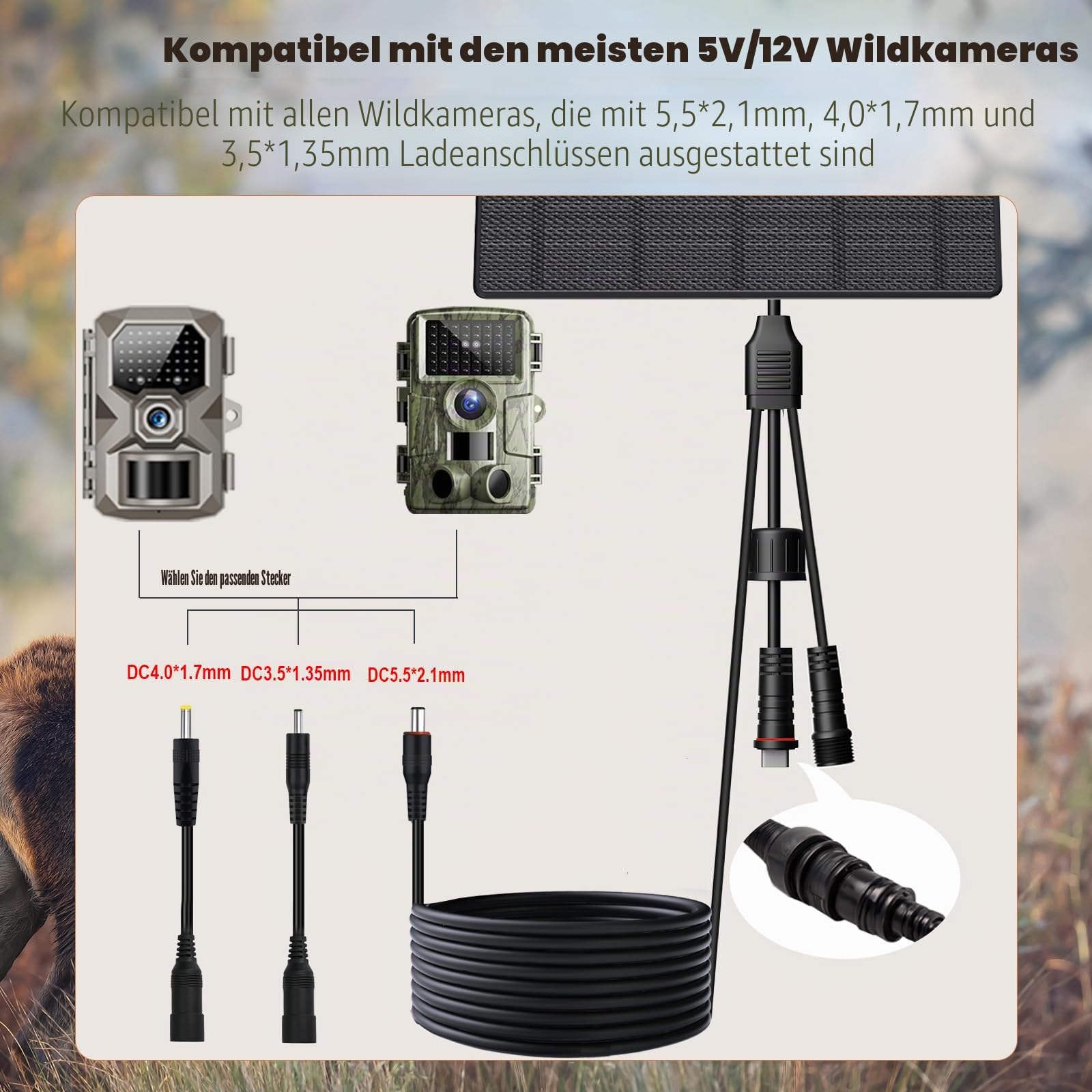 10W Solarpanel mit 10400mAh Akku, 5V/12V einstellbarer Ausgang, IP66 wasserdicht für Überwachungskameras