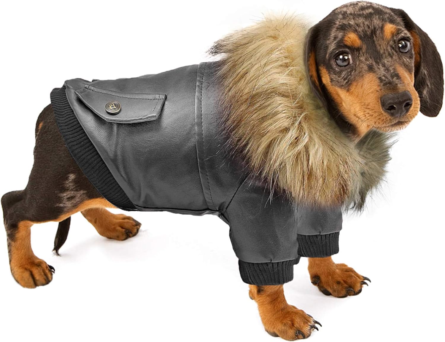 Rypet Dog Leather Jacket Waterproof Small Dog Winter